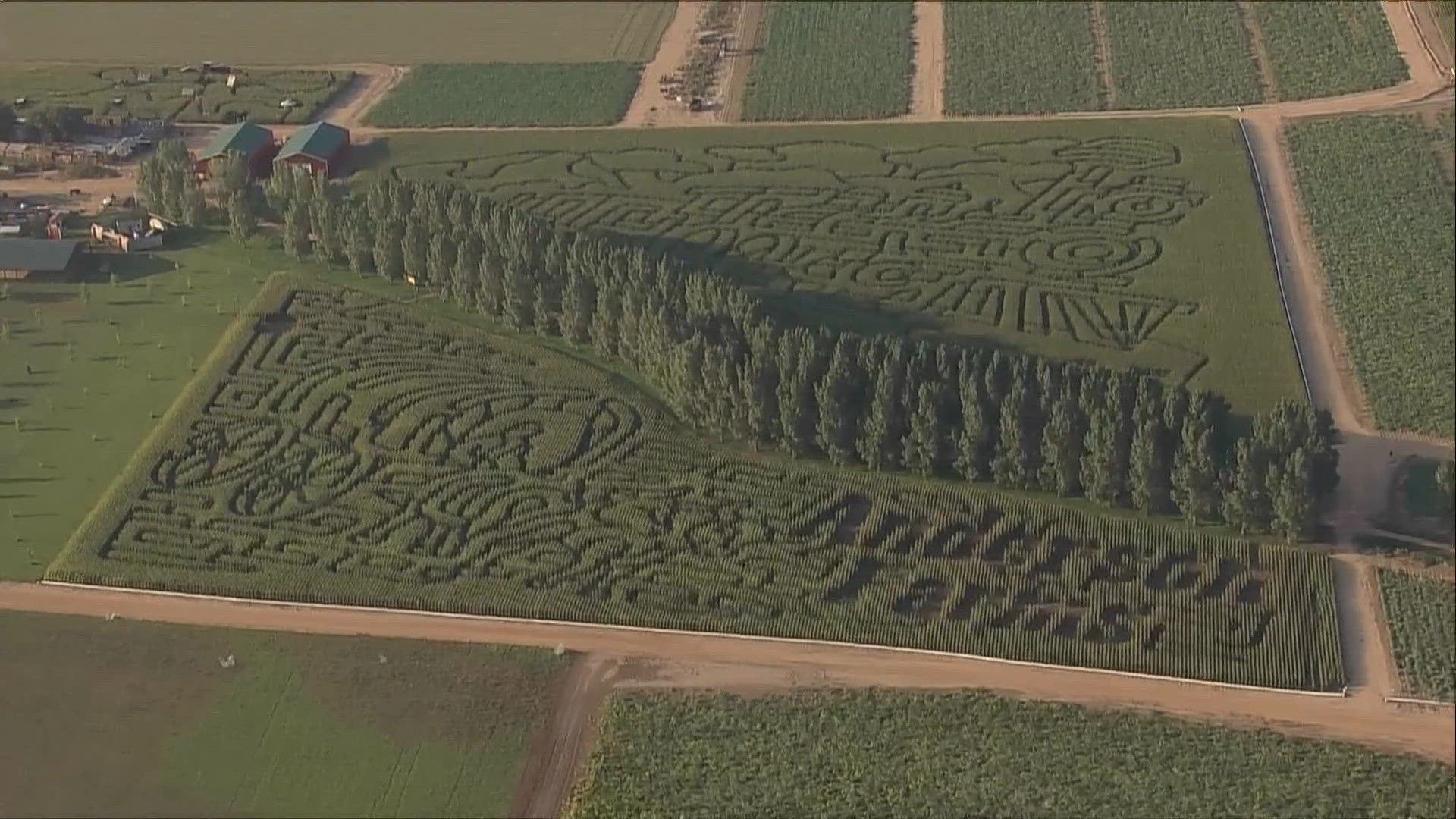 Anderson Farms creates 25-acre corn maze in Colorado