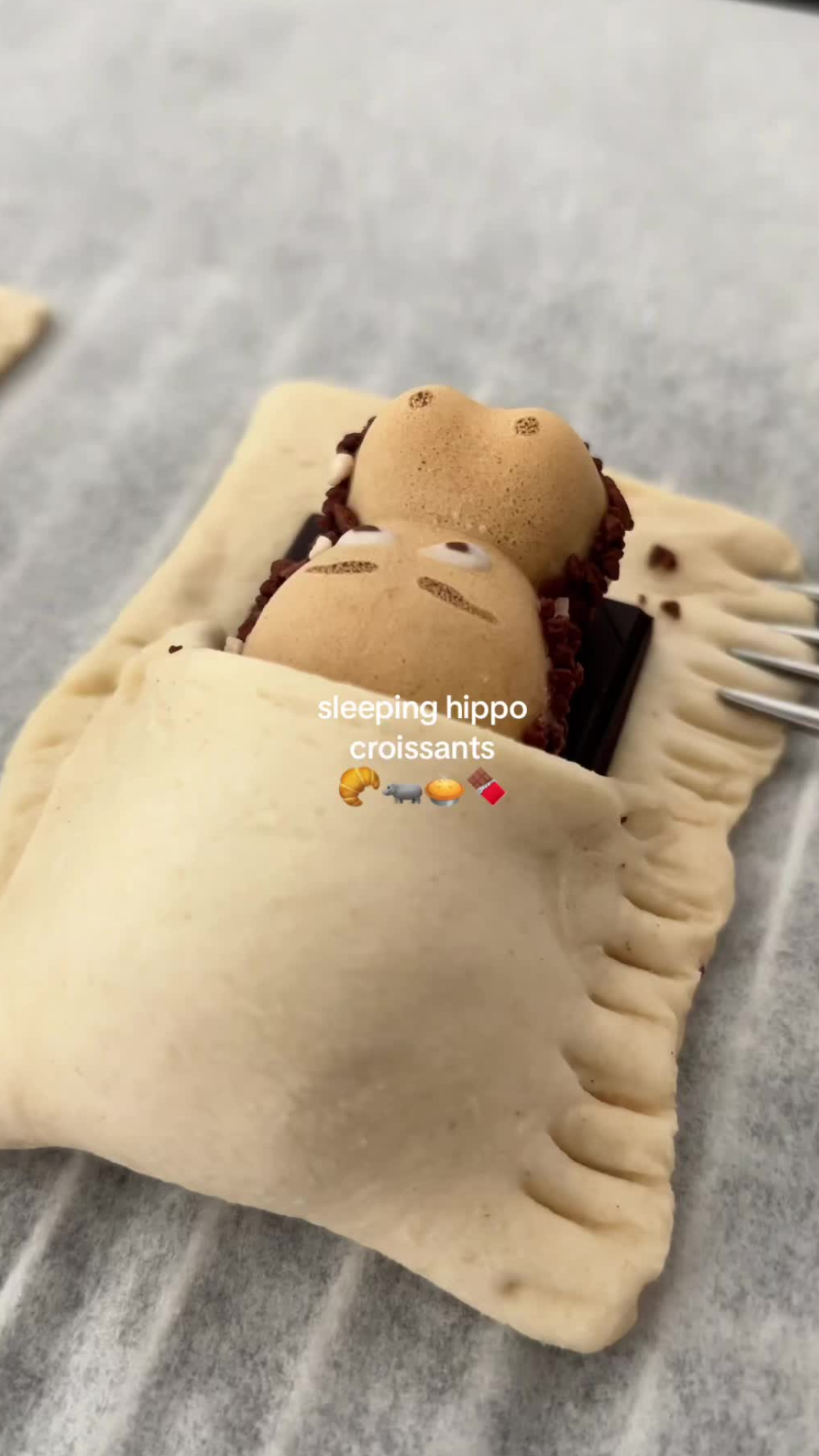 Creative baking secrets behind these cute animal croissants