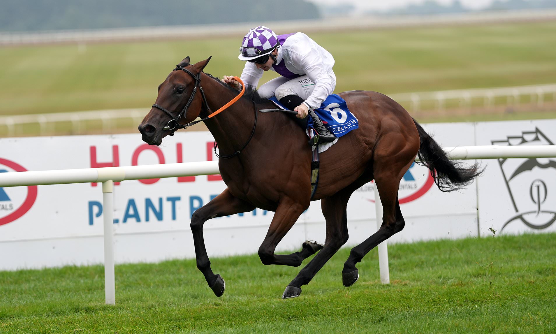 Sea of Rain ready to repay faith, plus our top tips for day one of the St Leger Festival