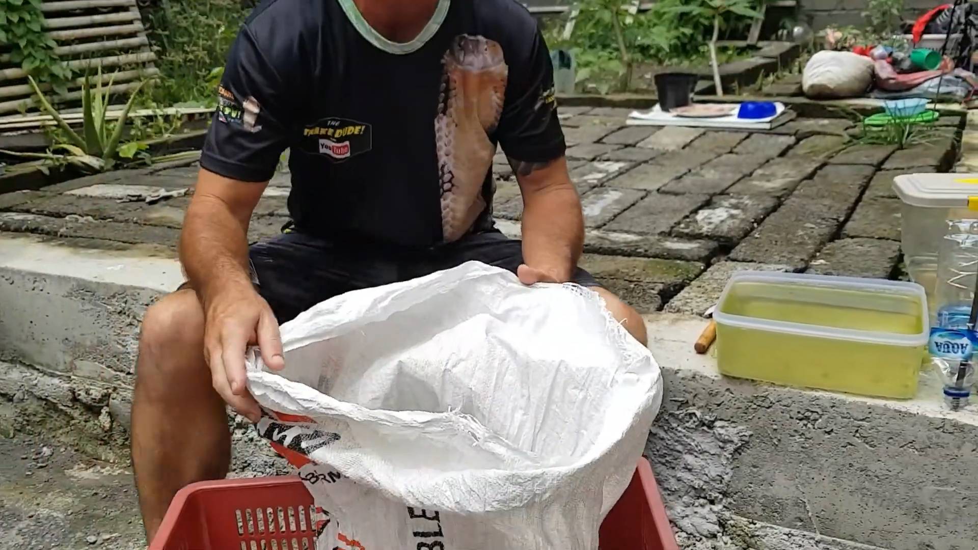 Snake discovery | Caught on camera
