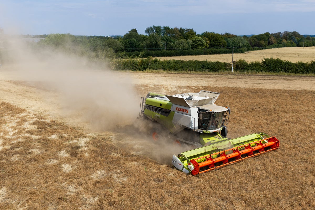 Food security at risk after 'hardest summer in a generation'