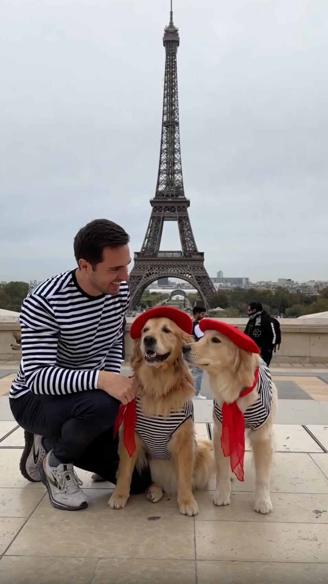 A golden retriever hits Paris and you'd think a whole city couldn't fit ...