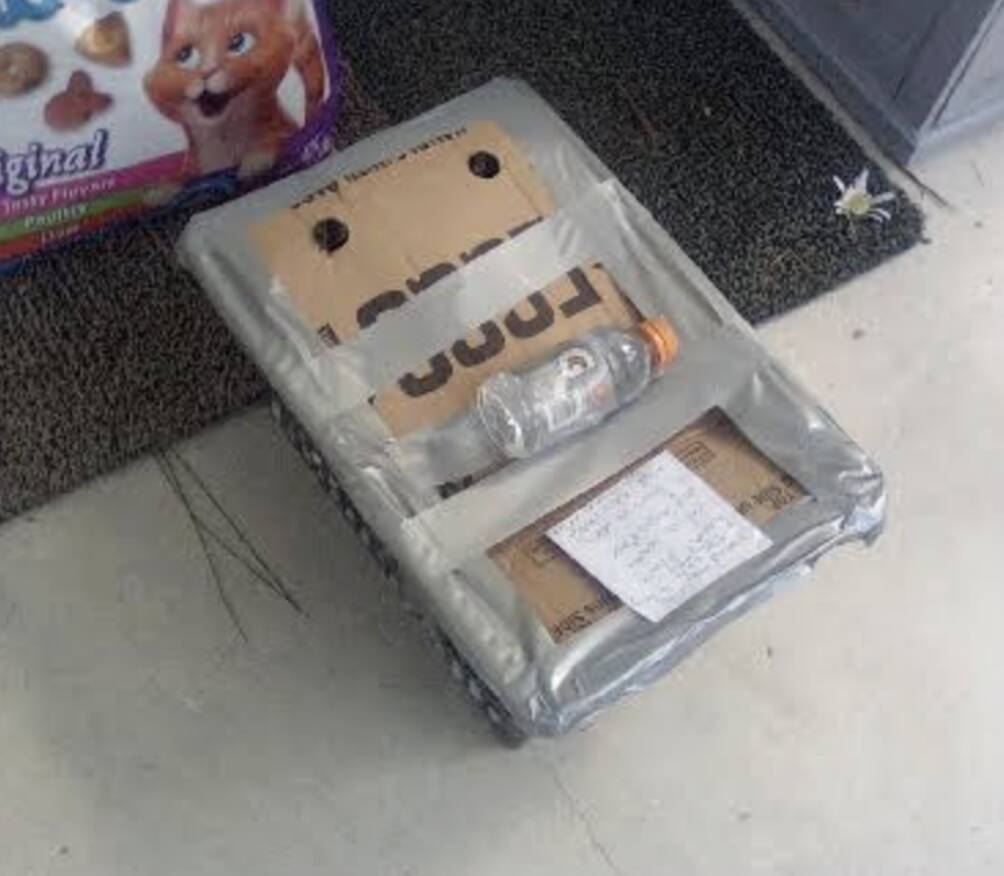 Woman finds strange box outside her apartment with an entire family inside