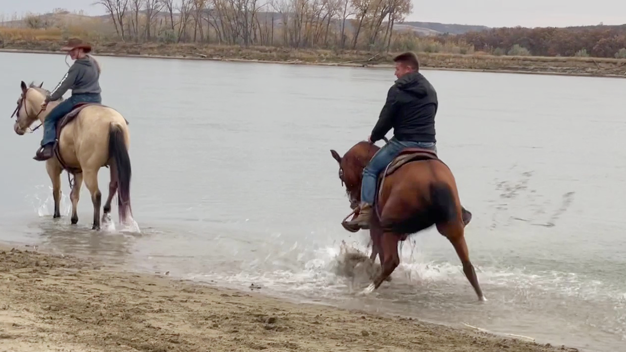 Shocking moment: Horse's wild water encounter on the beach