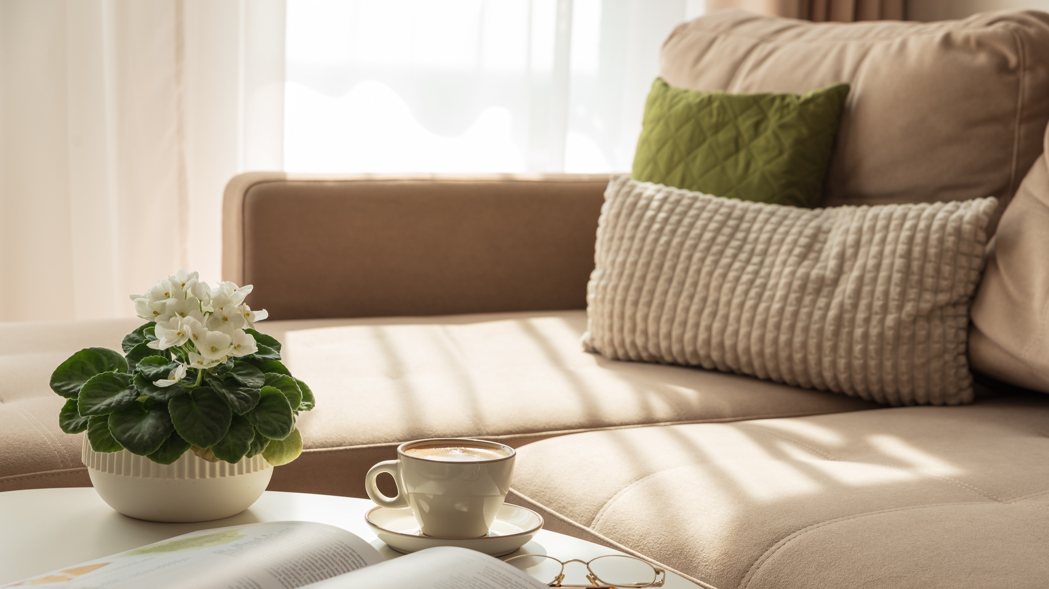 5 coffee table books to elevate your space, taste, and knowledge