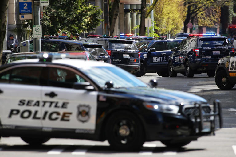 Social media users were quick to lambaste the chief’s woke terminology, stating the obvious that softening the language around gun violence doesn’t make it any less of a problem. Hearst Newspapers via Getty Images