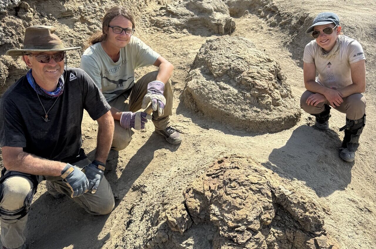 A 66.5-million-year-old trackway captures adult T rex at walking pace