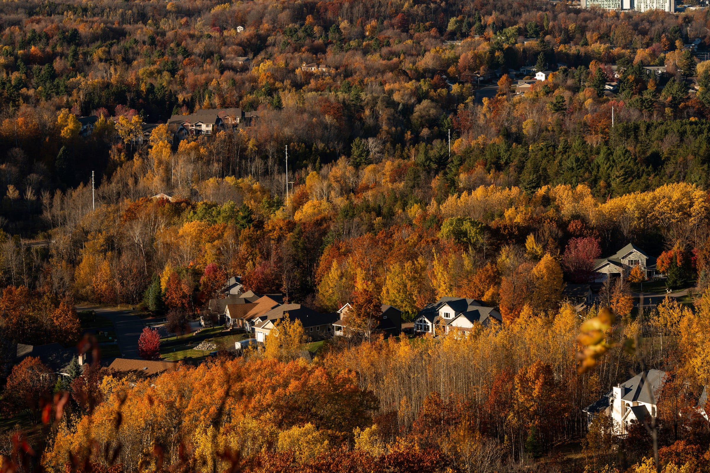 Have trees started to change color? When fall colors will peak