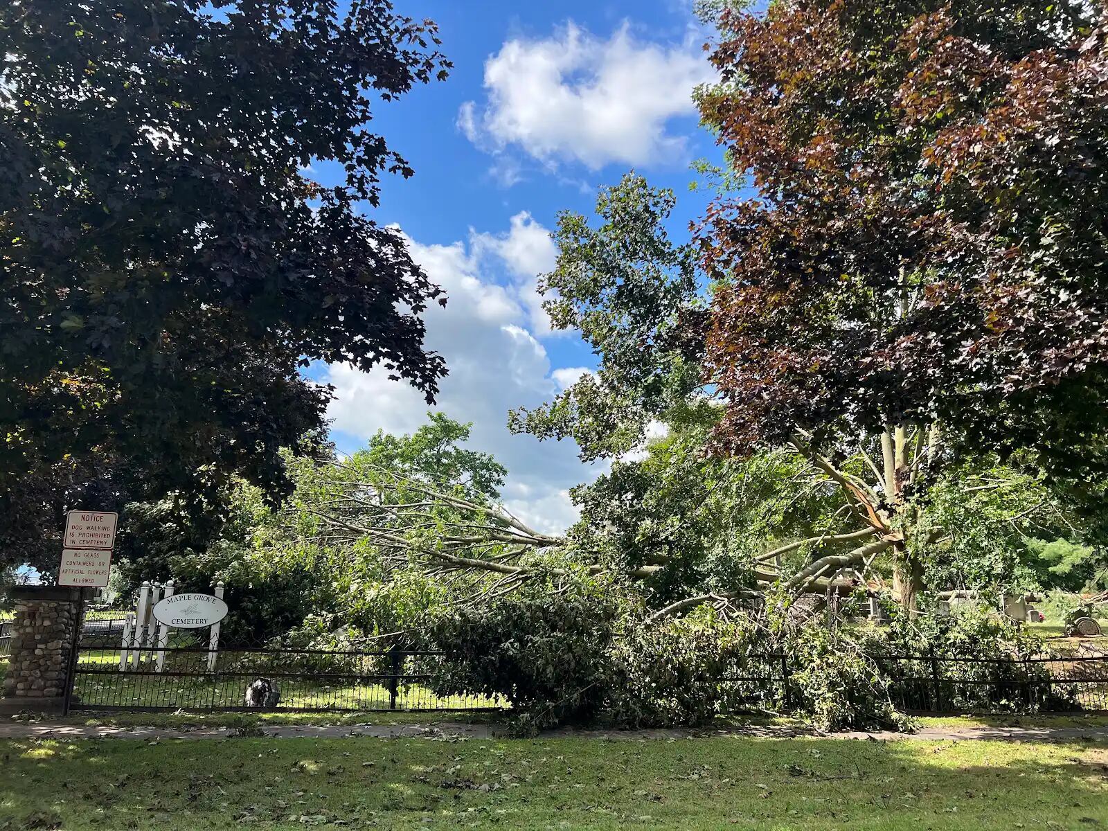 A year's worth of tornadoes hit Upstate NY in a single day
