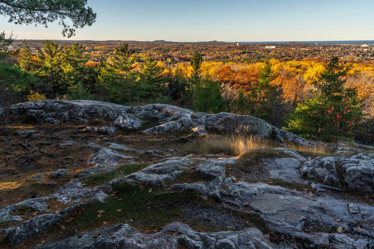 Fall colors are changing fast. Where to see peak color now