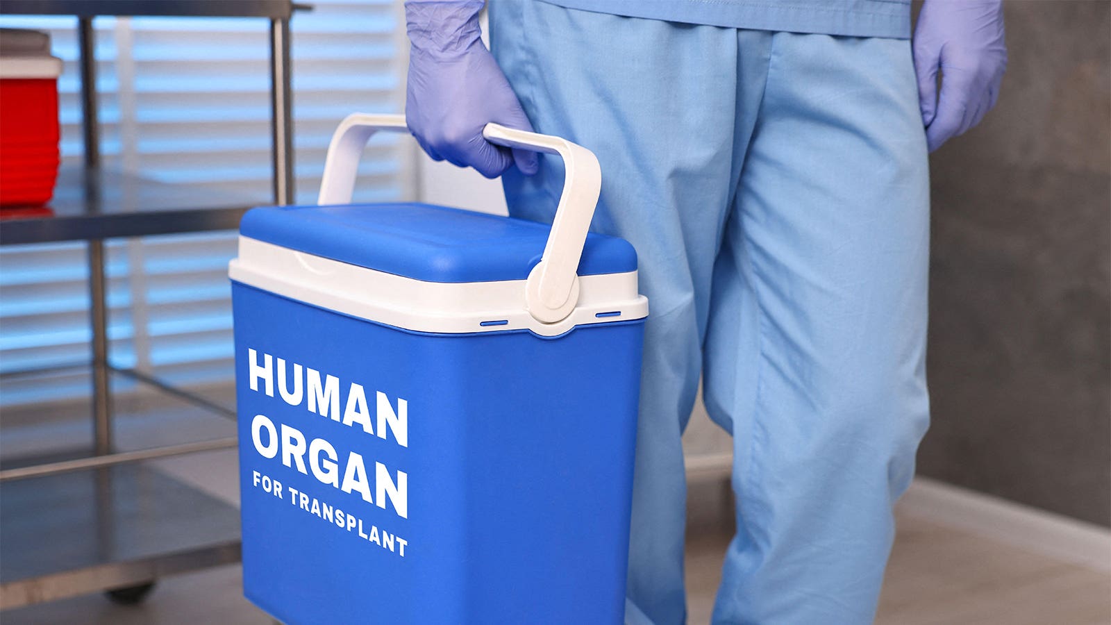 Medicare paid nearly $400M for organs never used for enrollees