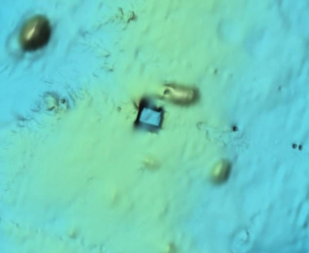 Giant 'megalith structure' spotted on ocean floor sparks alien base theories