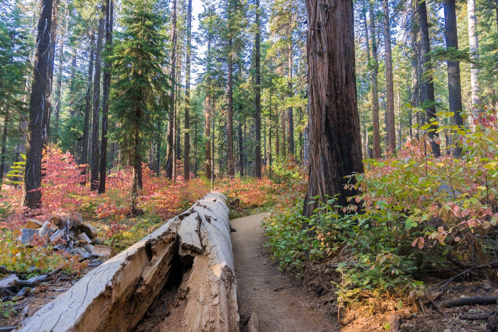 Locals save this California state park for one week every October