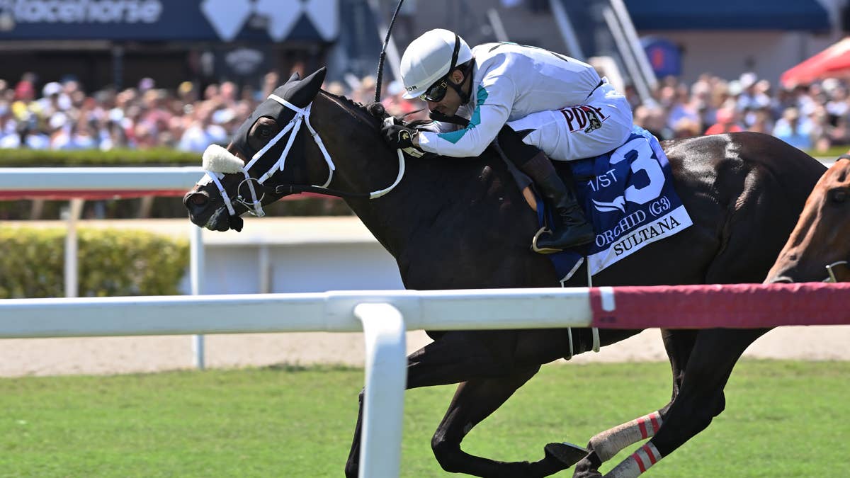 Woodbine-based Sultana takes on seven rivals in EP Taylor Stakes