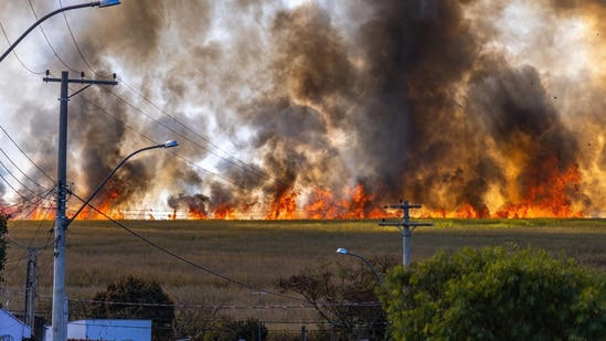 Los Angeles Getty fire map and evacuation updates: Is Getty Center ...