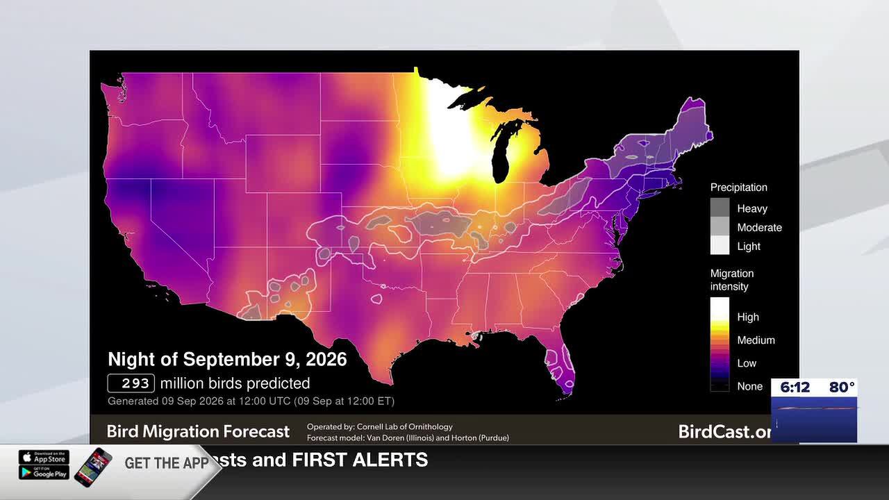 Wisconsin lights out alert issued for tonight to protect migrating birds