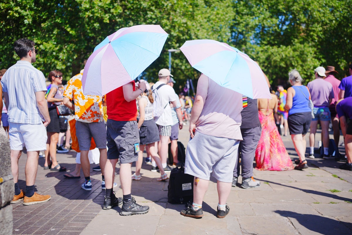 August was world's joint hottest month on record – scientists