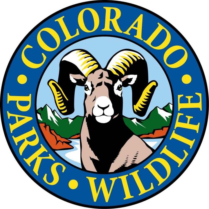 Sick bear euthanized in Durango