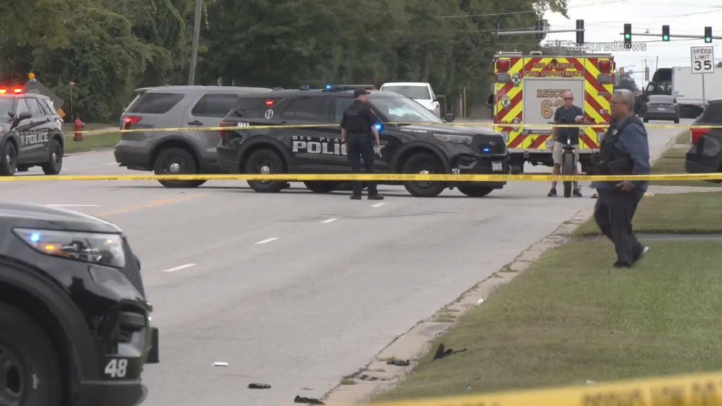 Des Plaines police officer shoots, kills man during domestic disturbance response