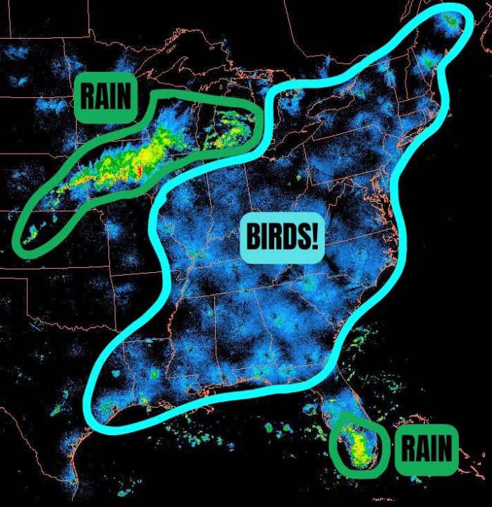 Why are radars giving feedback at nighttime when there's no precipitation?