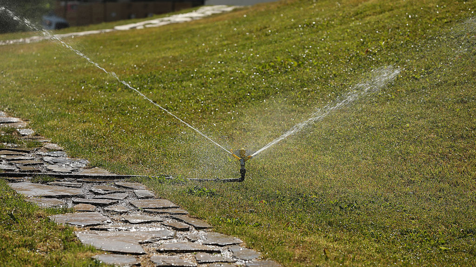 Water Conservation Measures Implemented Amid Record Heat