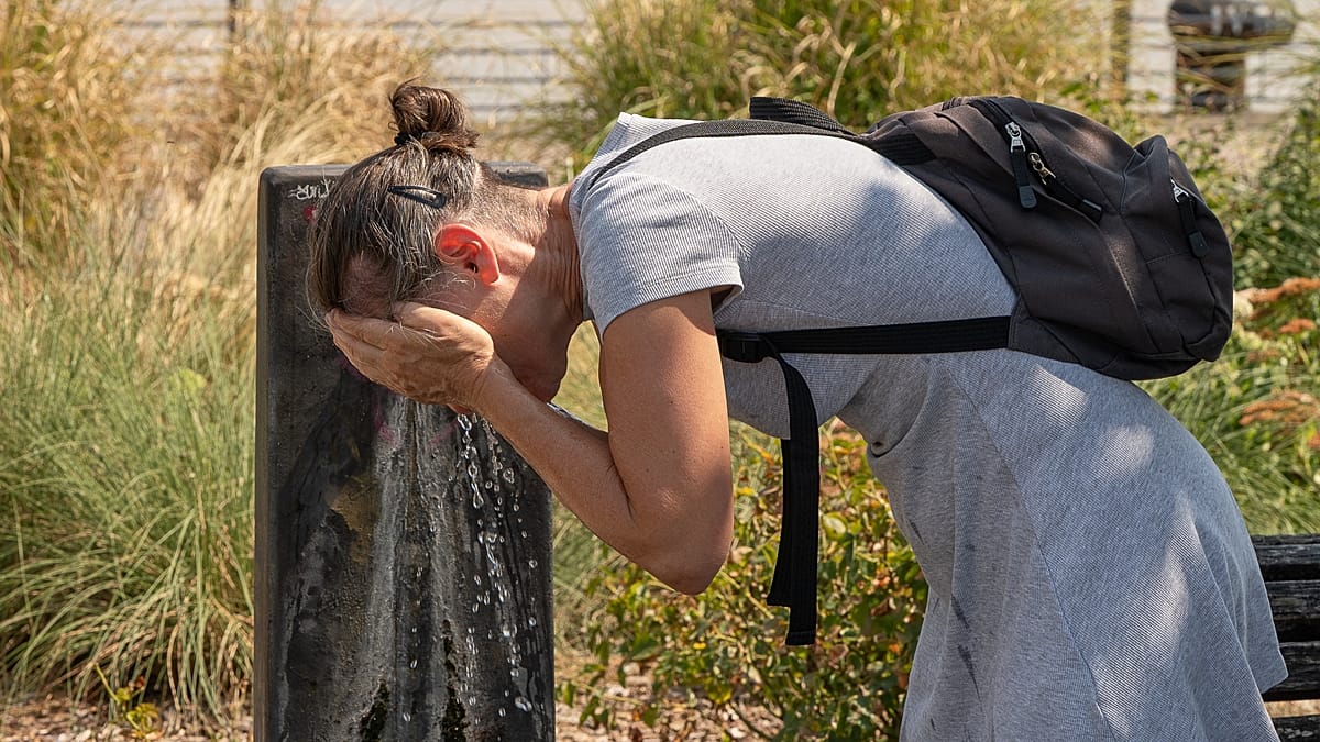 https://img-s-msn-com.akamaized.net/tenant/amp/entityid/AA2bVD3n.img?w=768&h=432&m=4&q=75