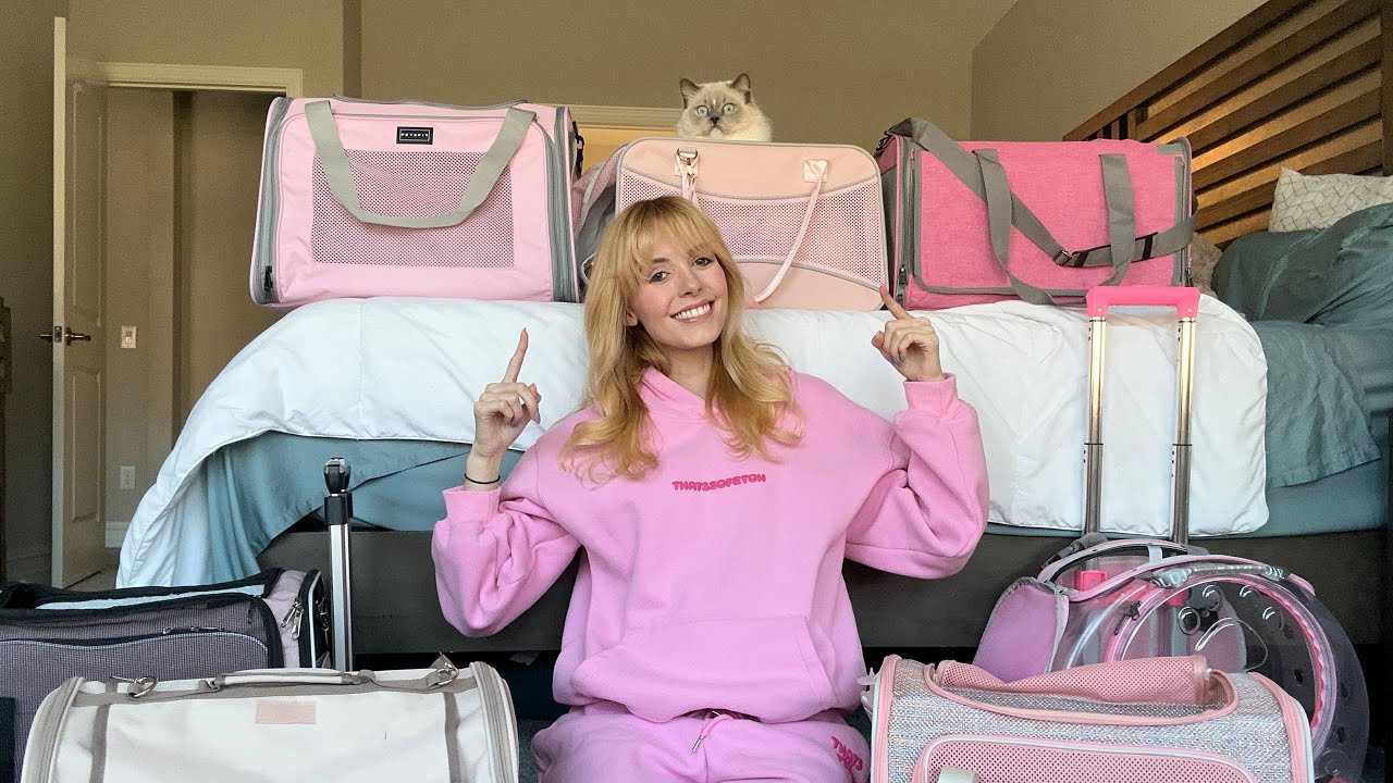 7 best pink cat carriers for travel and vet visits