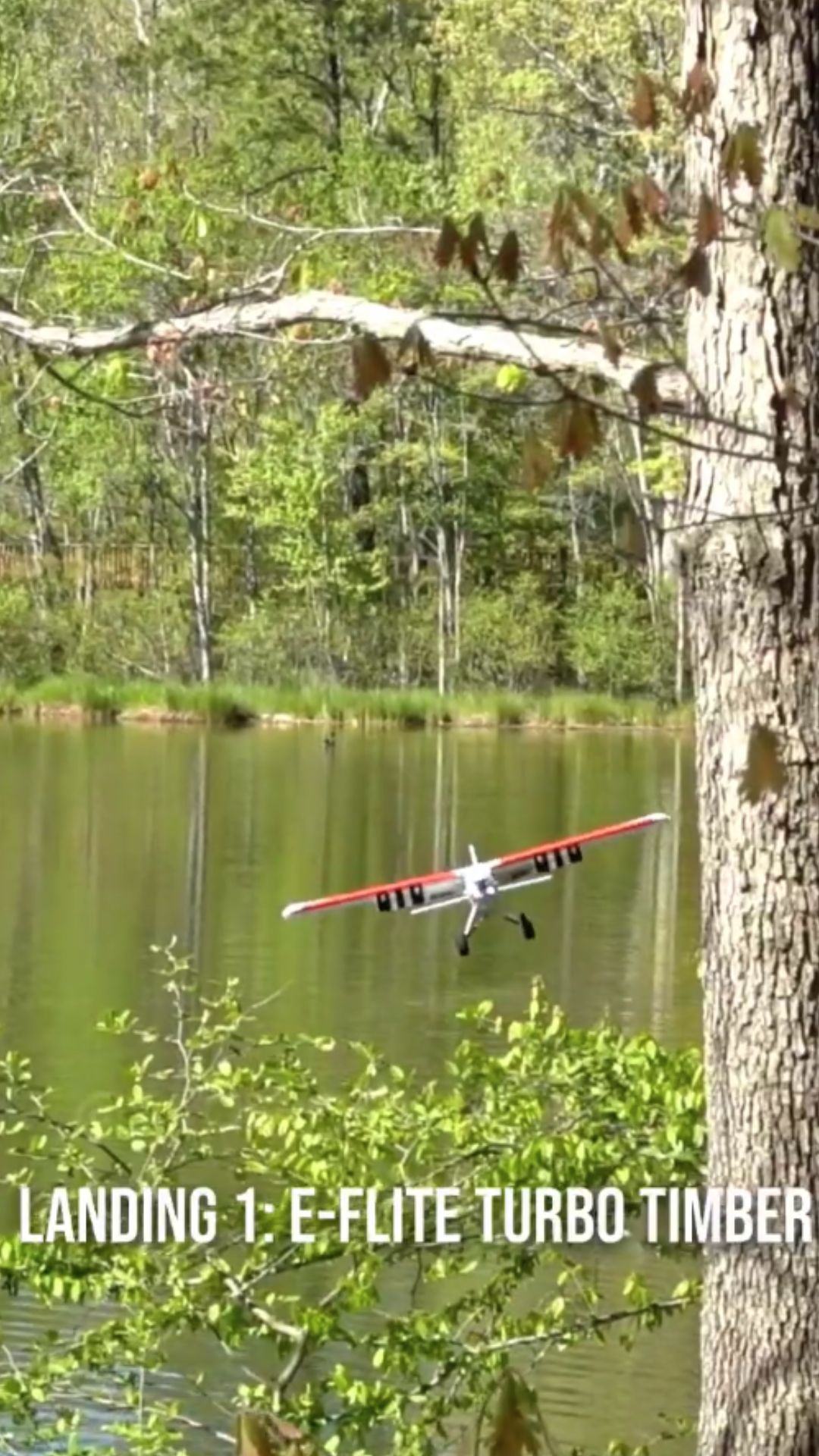 Creative butter themed RC plane takes flight