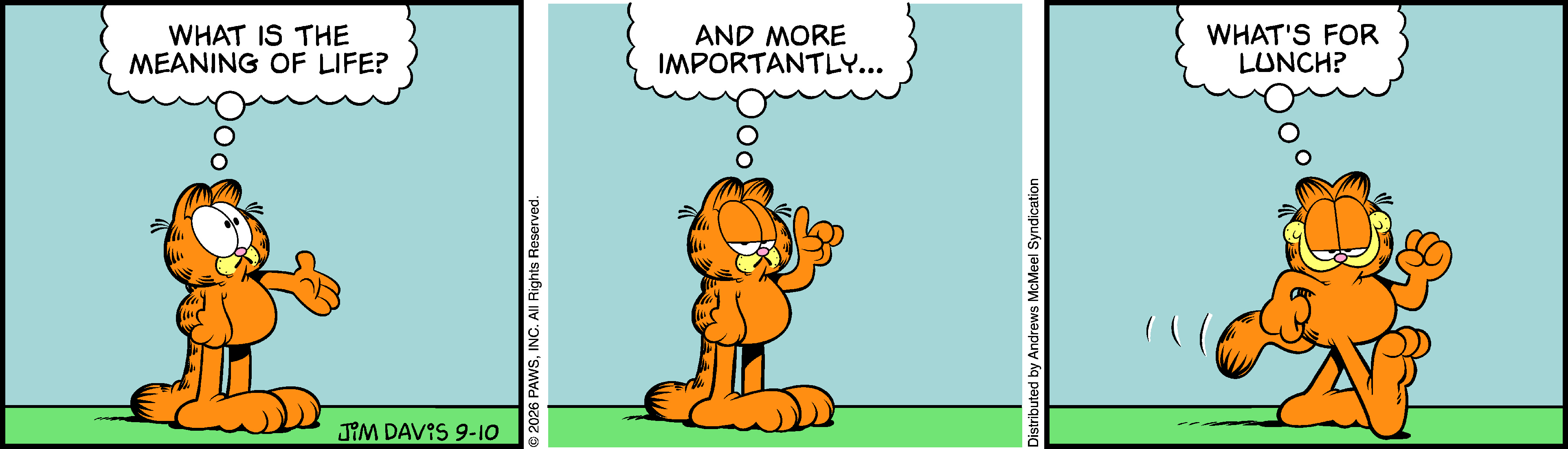 Garfield by Jim Davis