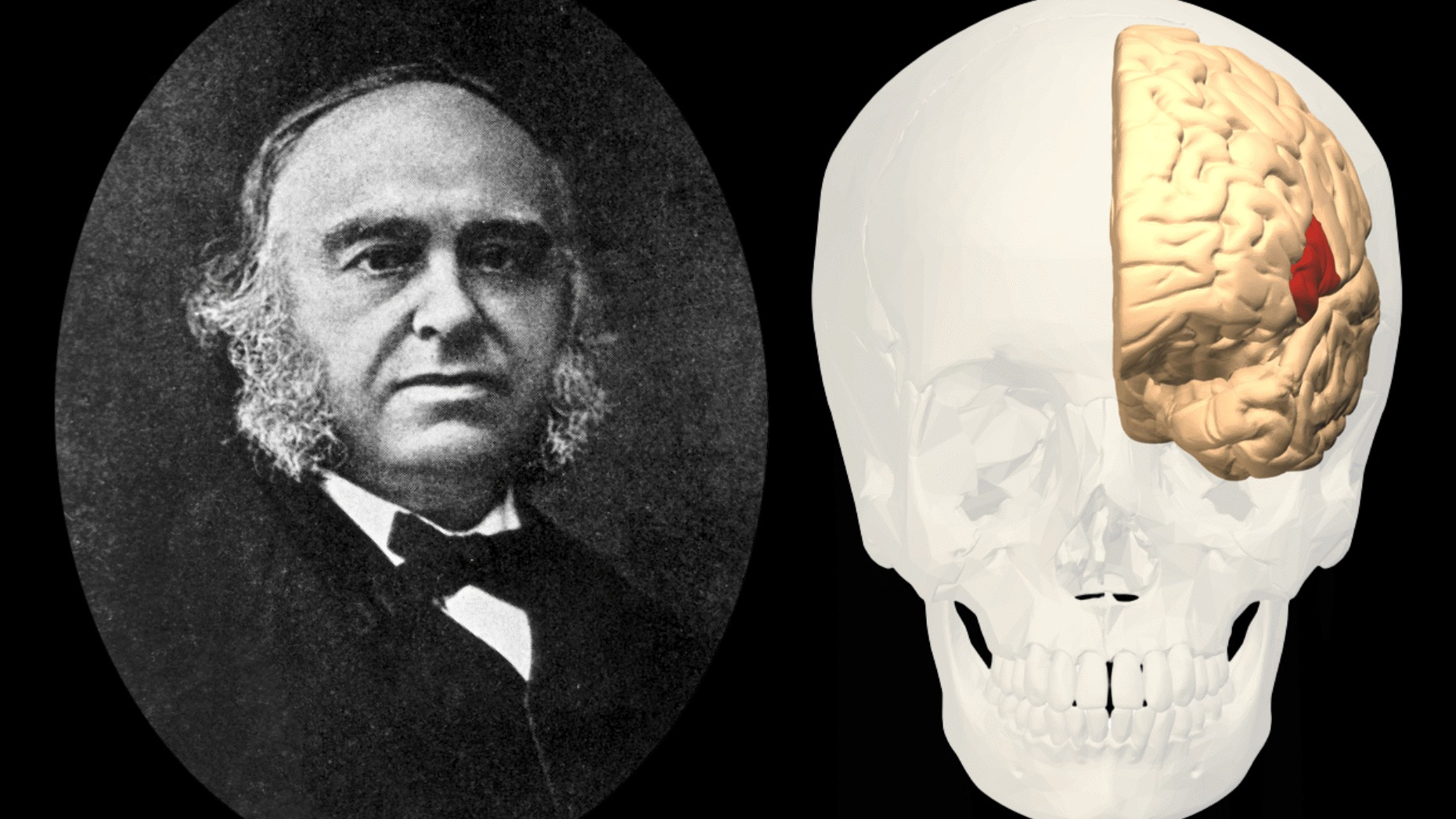5 human body parts that were named after real people