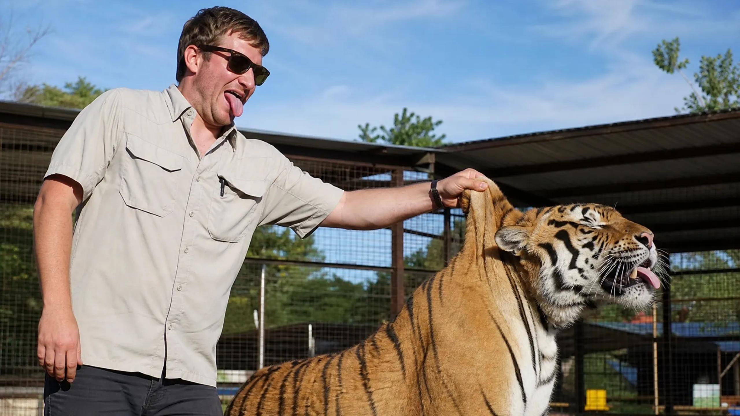 Snatched an adult tiger by the scruff, bro sent me straight to the ...