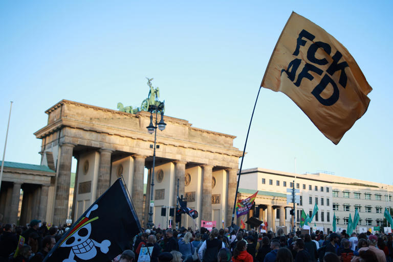 AfD secures record 43.8% in Saxony-Anhalt election