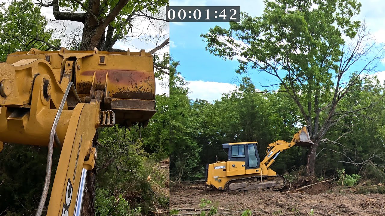 Can this machine take down a giant oak tree?