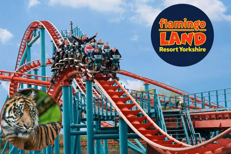 Frightening offer alert - Halloween fun at Yorkshire's Flamingo Land ...