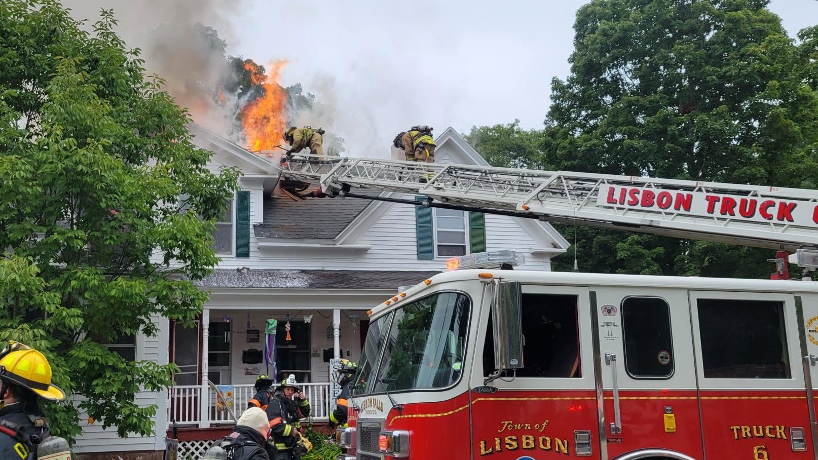 Parrot, cat rescued as flames shoot from home following reported ...