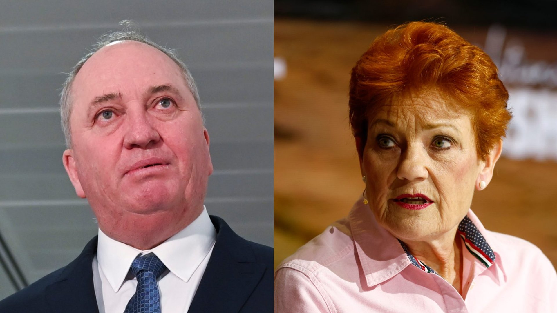'Barnaby must be sick of defending the indefensible': One Nation torn ...