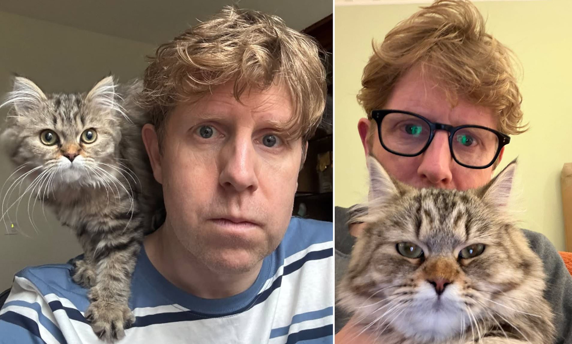 Josh Widdicombe announces his kitten Fluffball has died - two weeks after the death of his cat Beryl