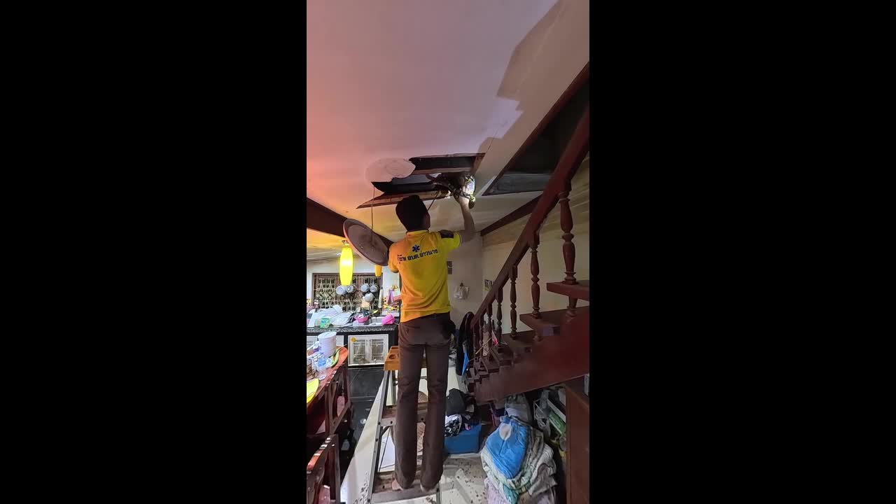 Snake wrangler has epic struggle pulling giant python from ceiling