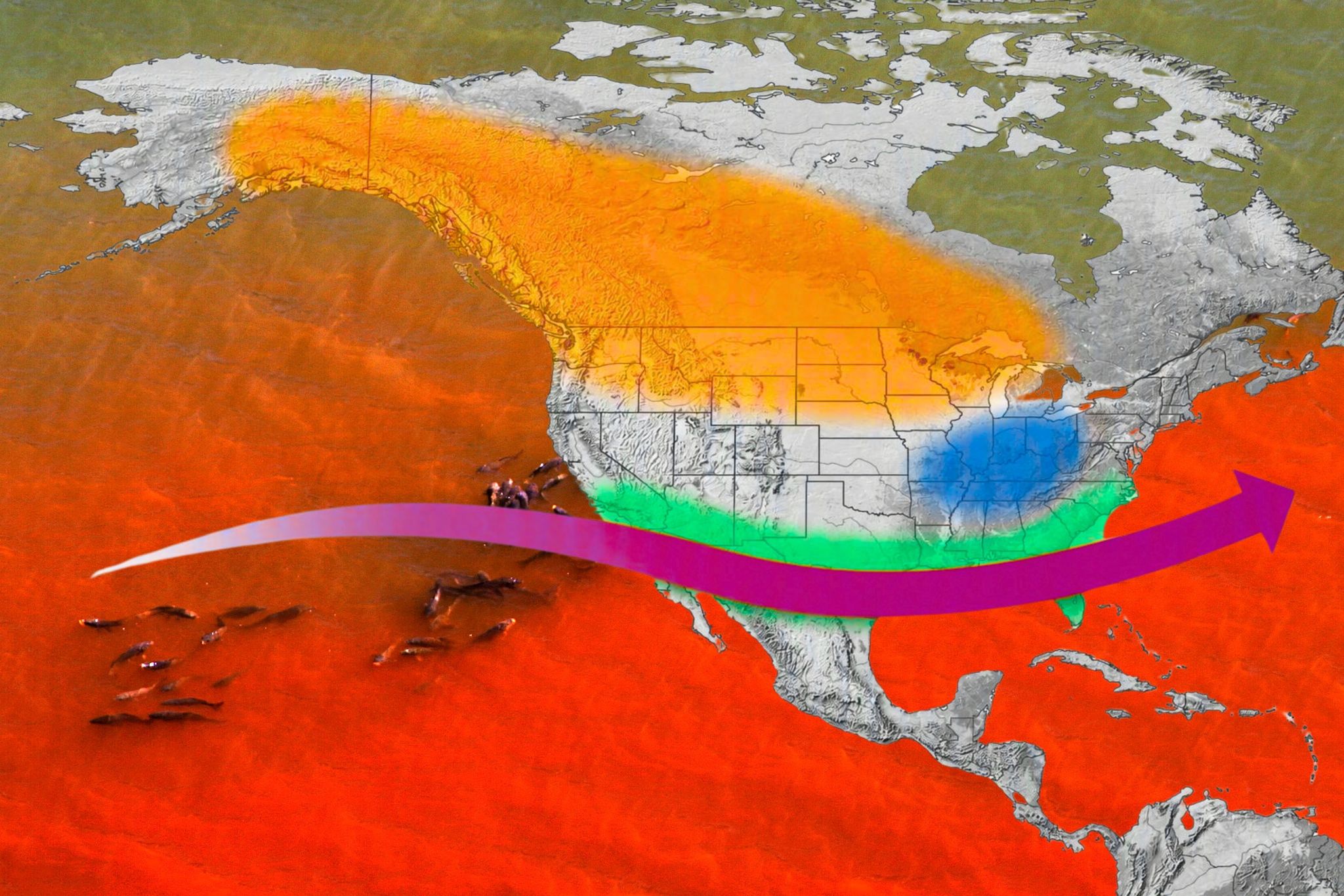 New El Niño forecast shows when it could reach peak strength
