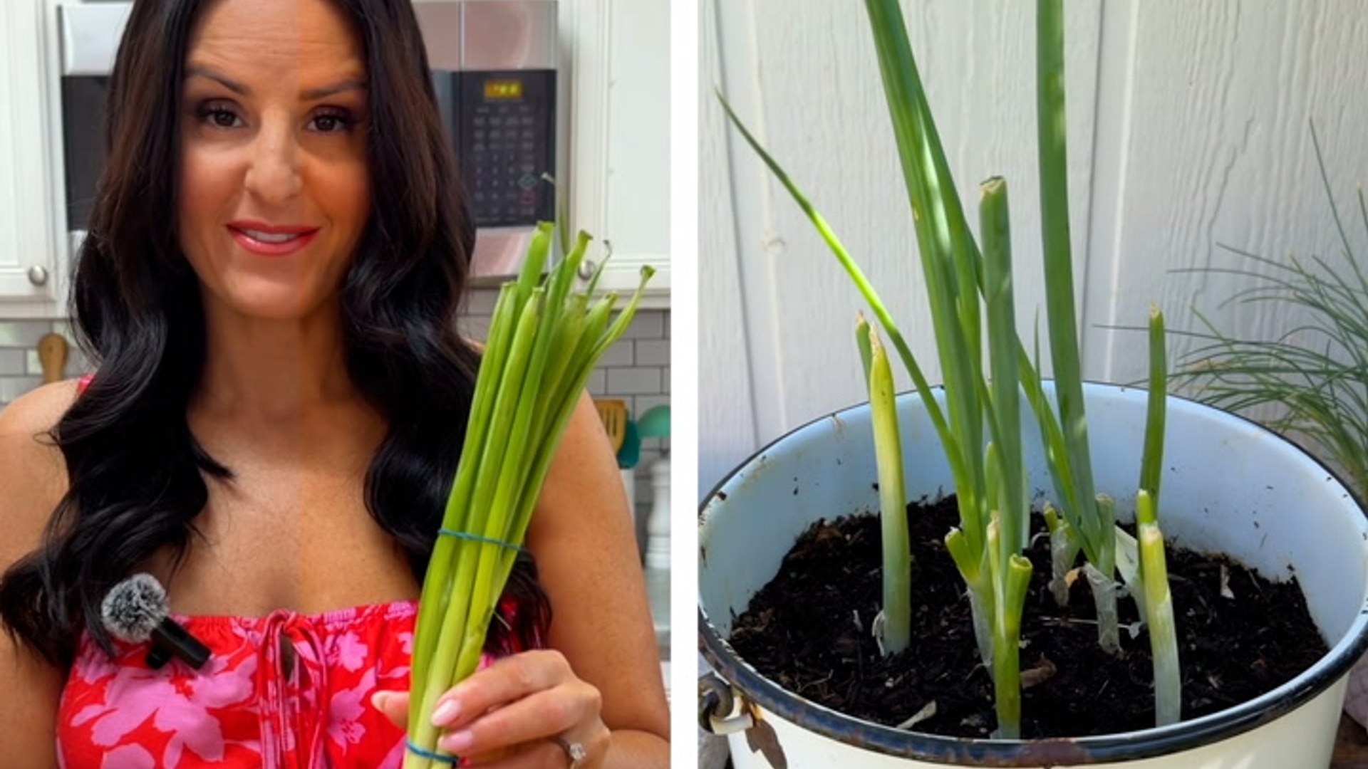 Infinite green onion hack