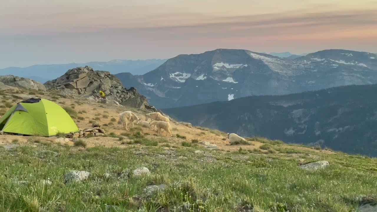 They had to protect their brake lines from porcupines - then hike into ...