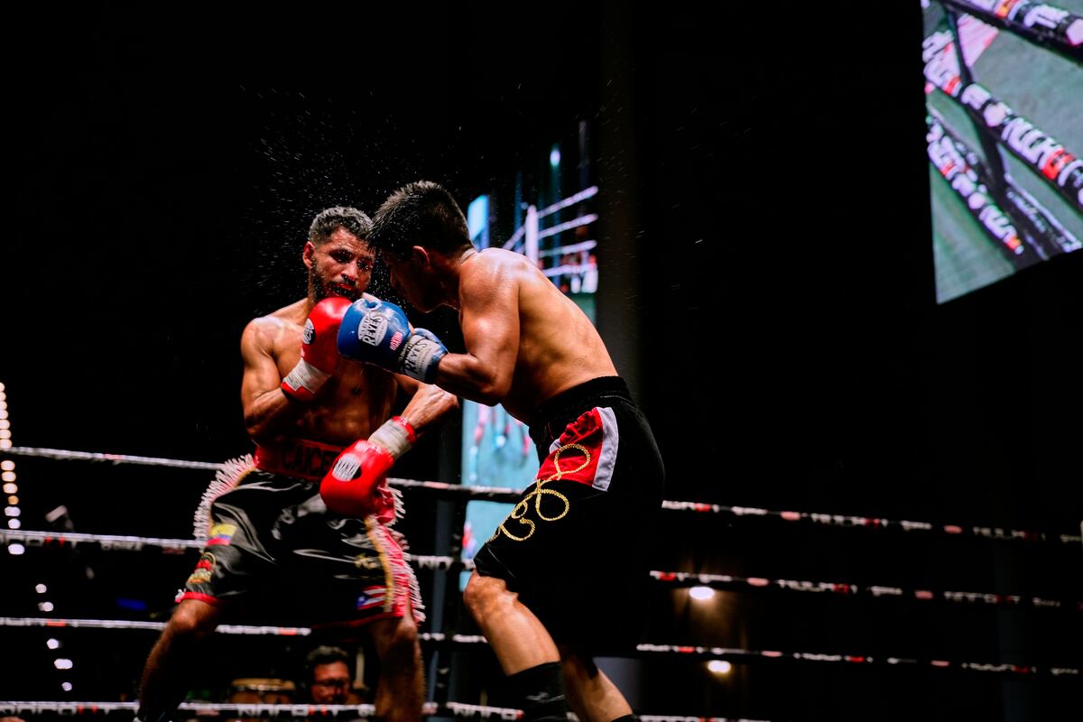 Dika Boxing Lab suma títulos internacionales y proyecta al boxeo ...