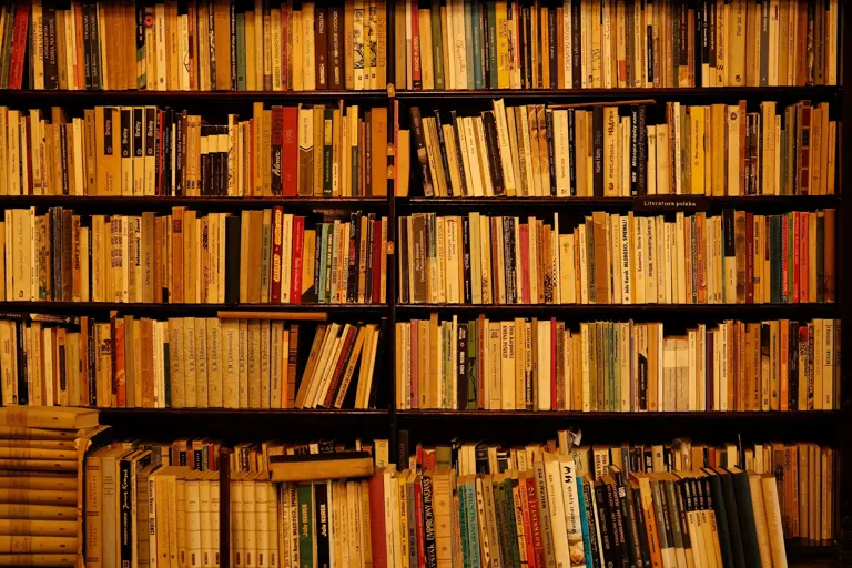 8 best books to read for beginners