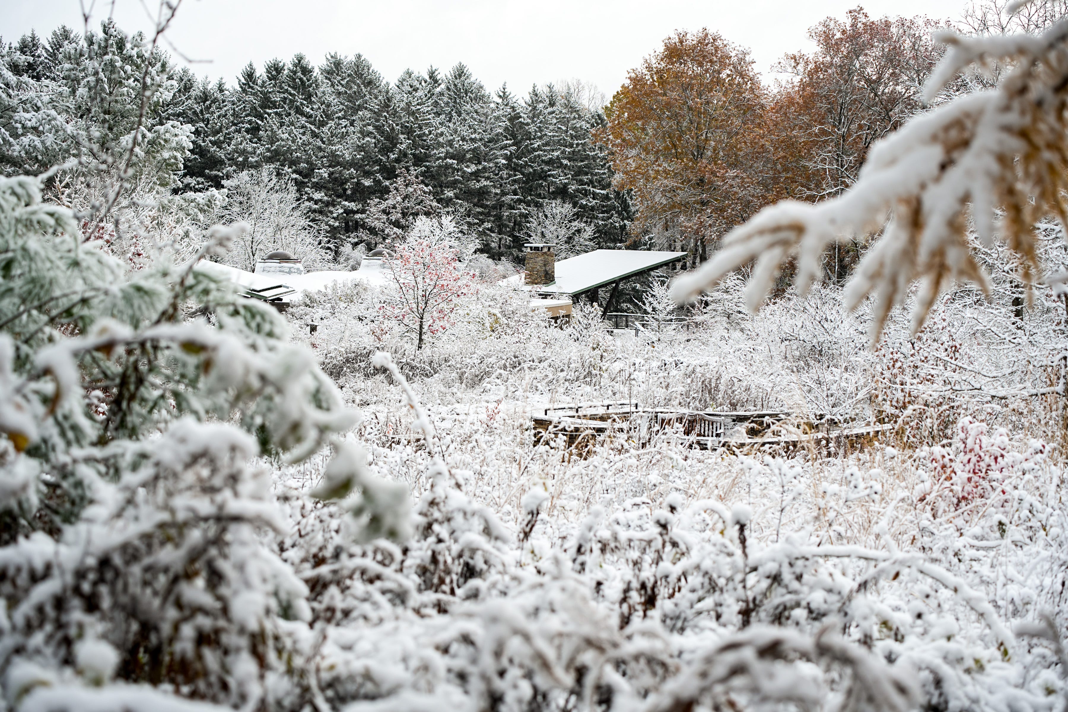Here's when Ohio will see snow, per Farmers' Almanac first snowfall map
