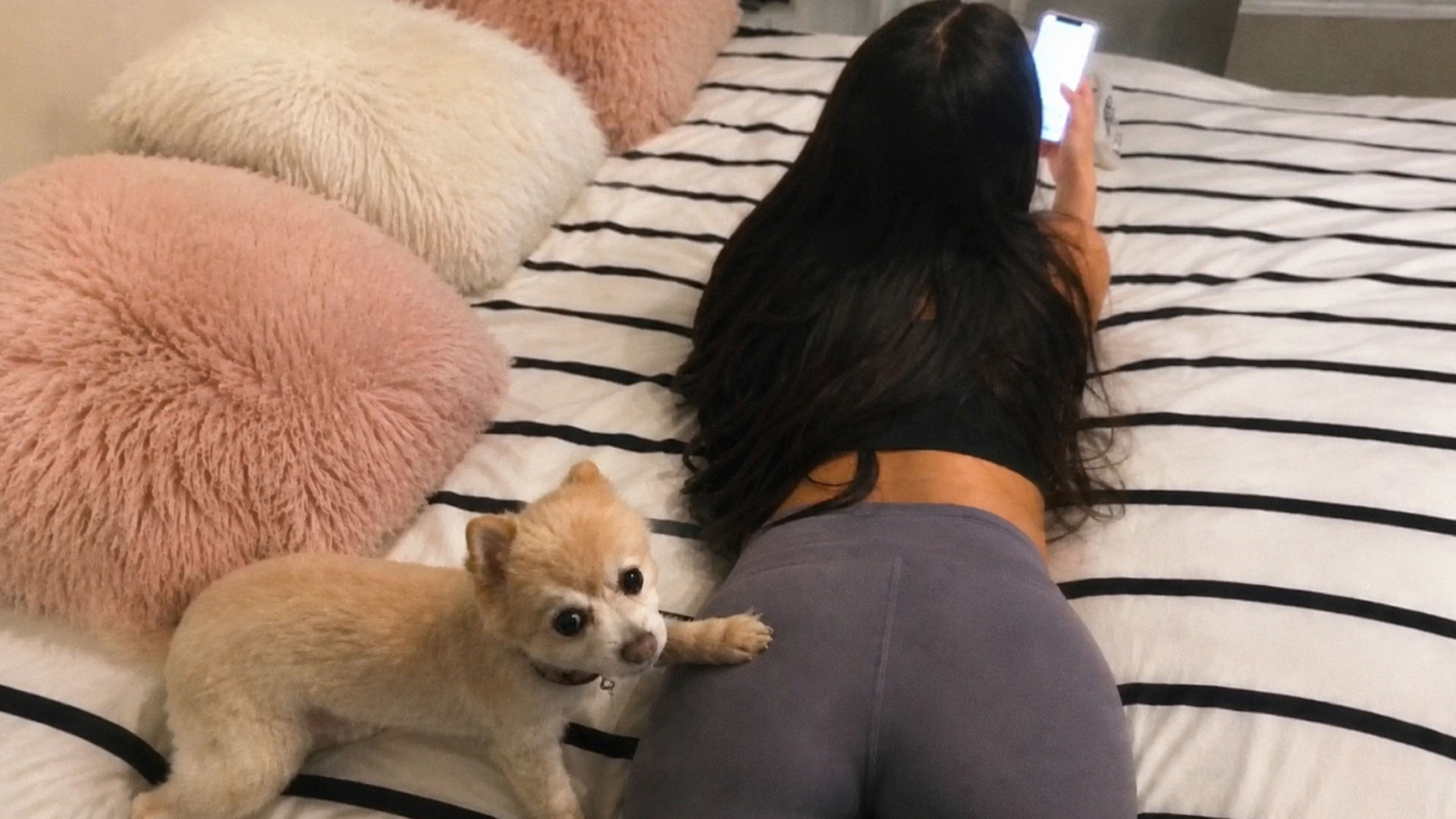These dogs misjudged their next move