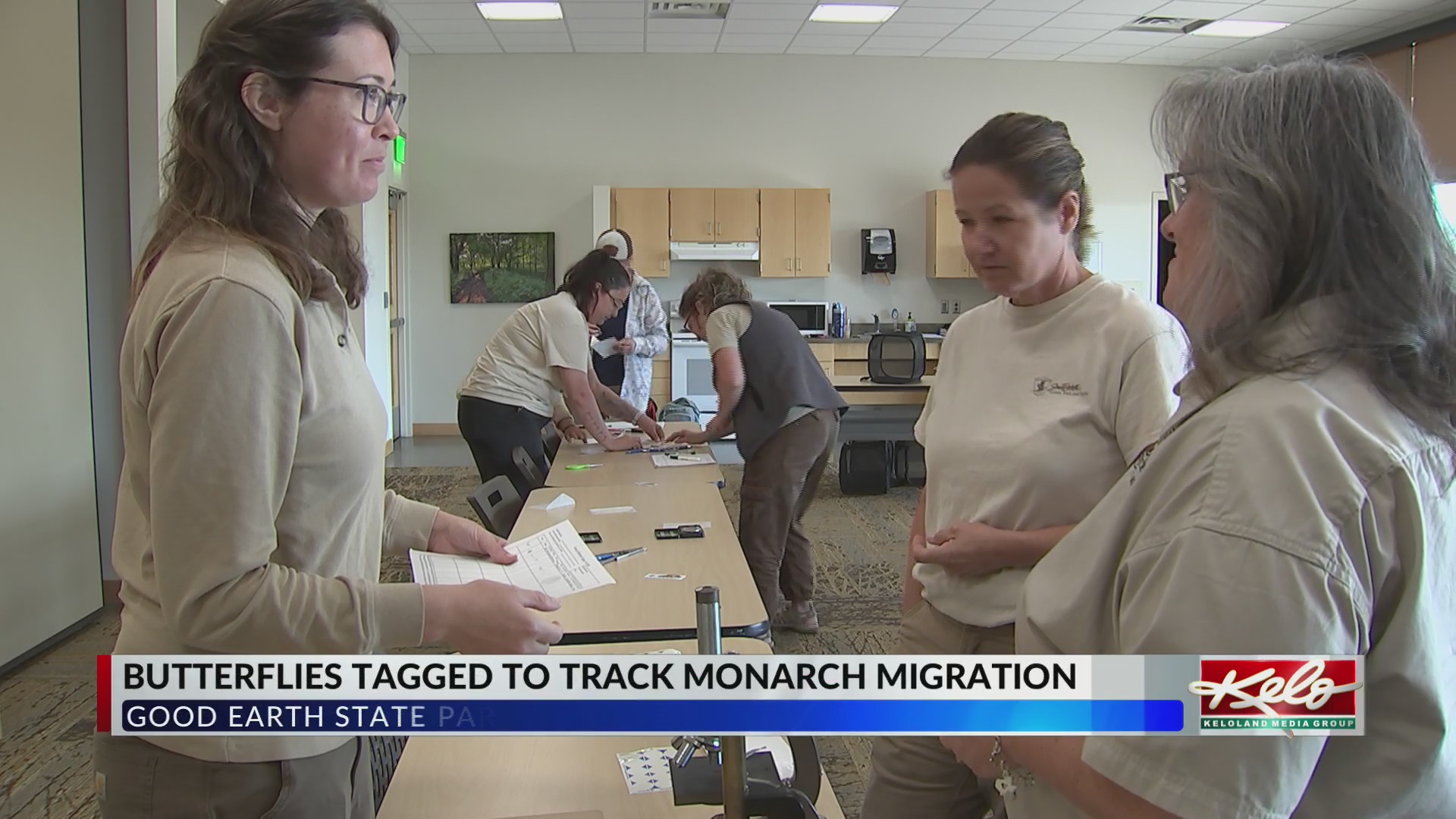 SD researchers track butterflies heading to Mexico