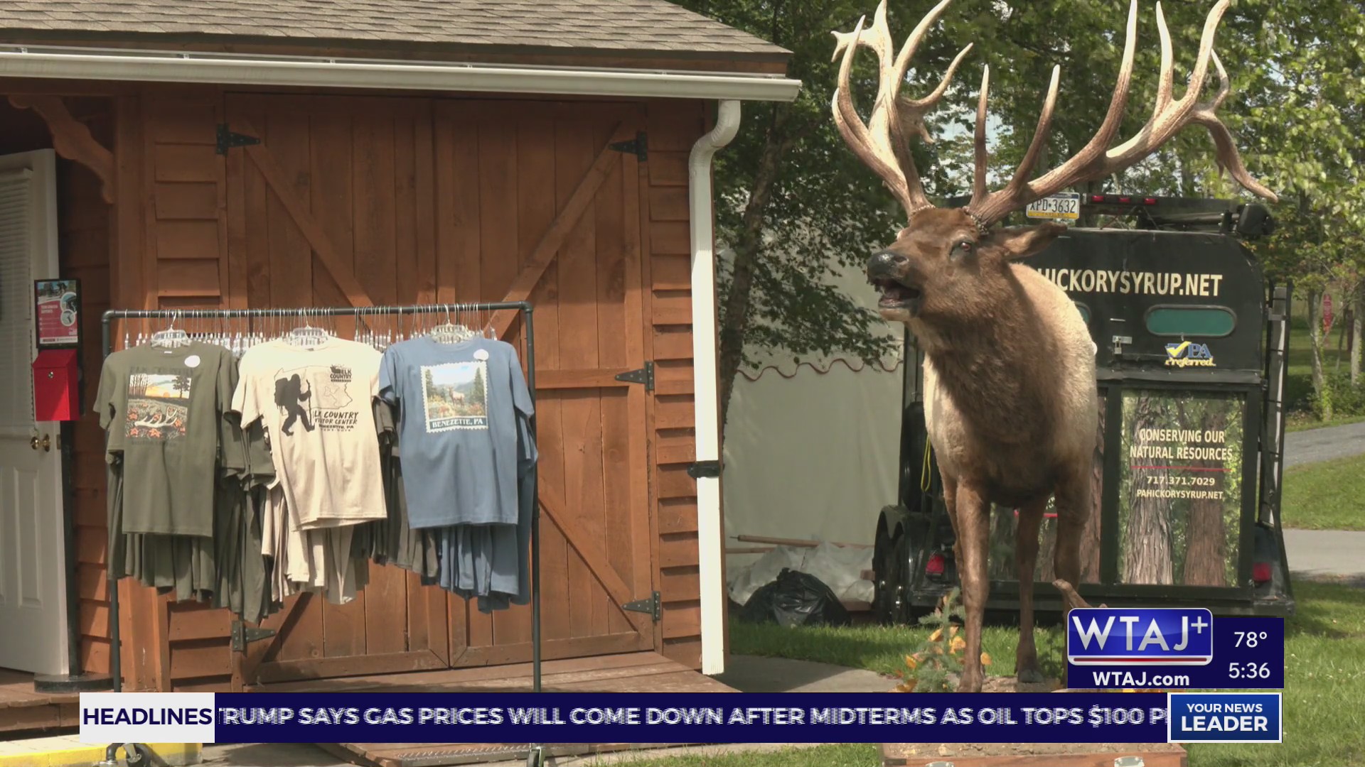 Elk Country expecting hundreds of thousands of guests for rutting season