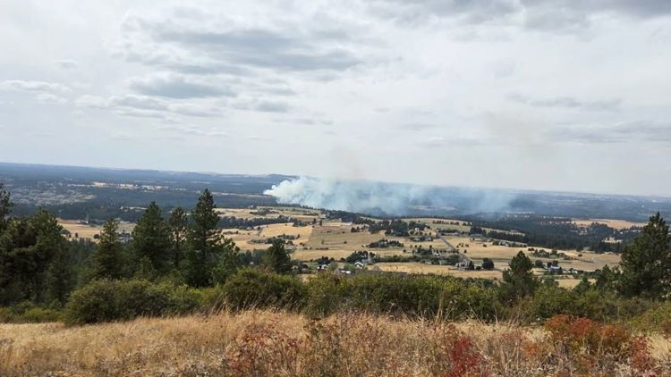 Crews stop forward progress on 4.5-acre Hatch Fire; Level 1 evacuations remain in place
