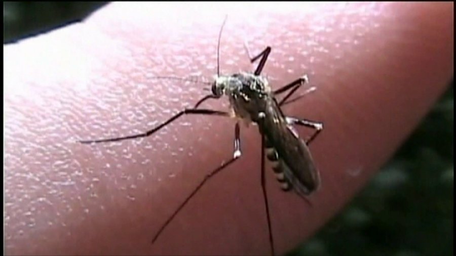 2 human West Nile virus cases of 2026 confirmed in McHenry County