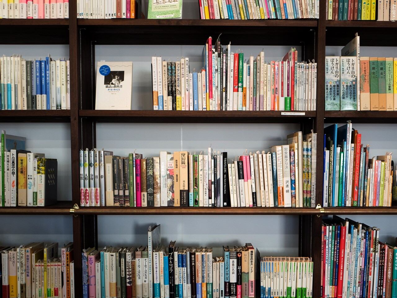 Moline Public Library seeking applications for student trustee